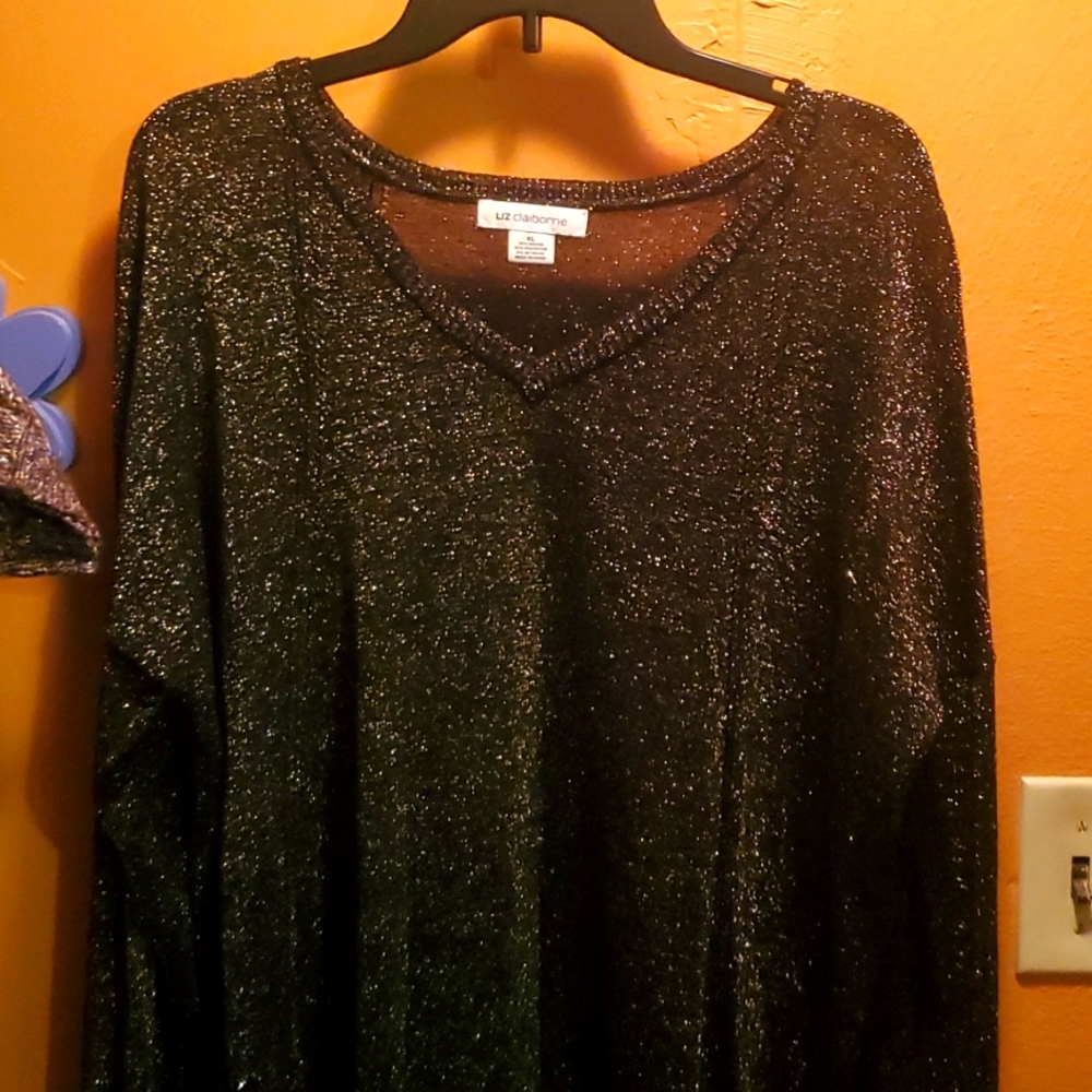 Metallic shirt/sheer, long sleeve.